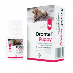 Drotal para perros