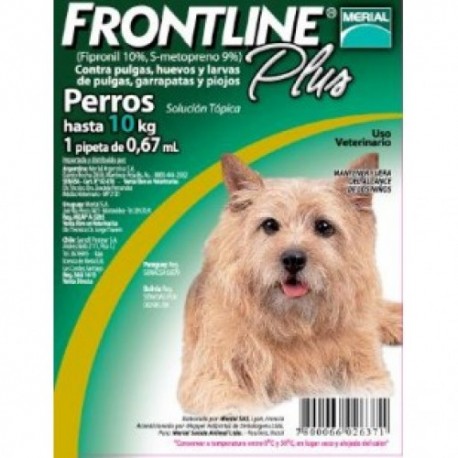 FRONTLINE PLUS - PIPETA PERROS HASTA 10 KG