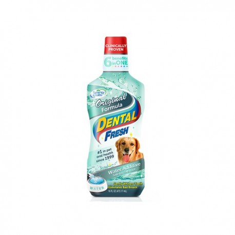 Dental Fresh 503ml