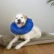 Collar Isabelino Inflable y Lavable KONG CLOUD XSmall