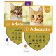 ADVOCATE PIPETA GATO HASTA 4KG