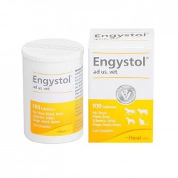 ENGYSTOL 100 COMPRIMIDOS