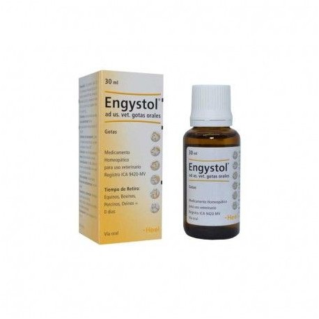 Engystol gotas Formato 100 ml
