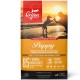 ORIJEN SIX FISH DOG 11.3 KG