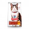 HILLS FELINE HAIRBALL CONTROL 1,58 kilos