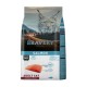 BRAVERY ADULTO ESTERILIZADO GATO SALMON 7Kg.