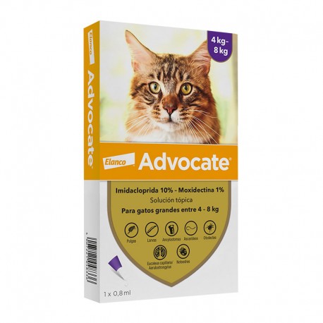 ADVOCATE PIPETA GATO HASTA 4KG